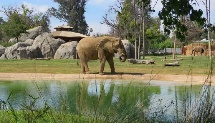 Zoo in Fresno, California