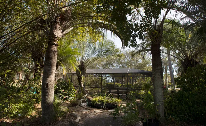 Garden in Cape Coral, Florida