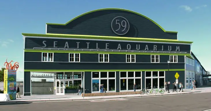 Aquarium in Seattle, Washington
