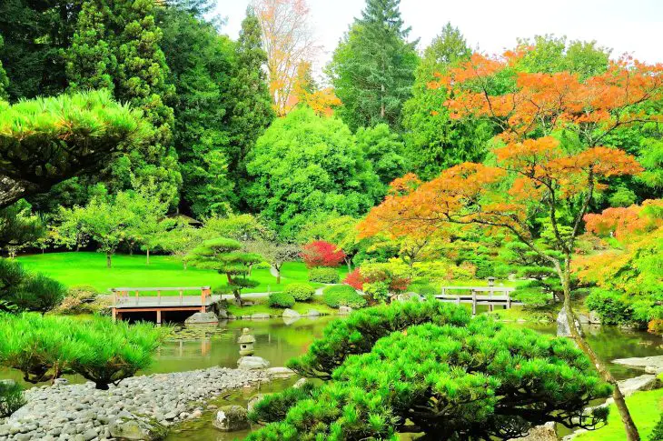 Botanical garden in Seattle, Washington